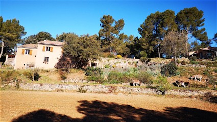 les git'anes de Ponteves, Location de Vacances à Pontevès