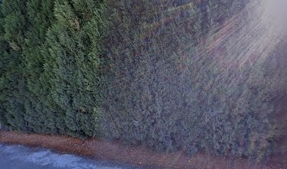 L'Orée du Bois, Chambre d'Hôtes à Saint-Jean-de-Maurienne