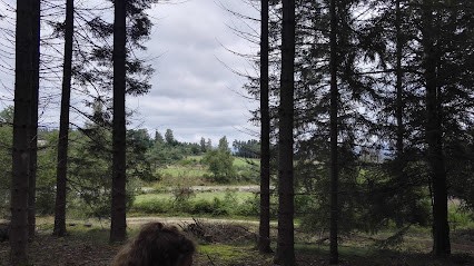 Bourgault Patrice, Chambre d'Hôtes aux Monts-Verts