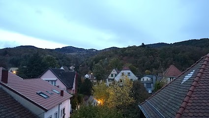 Le tulipier, Chambre d'Hôtes à Munster