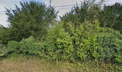 Dormir Ailleurs, Chambre d'Hôtes à Jarzé Villages