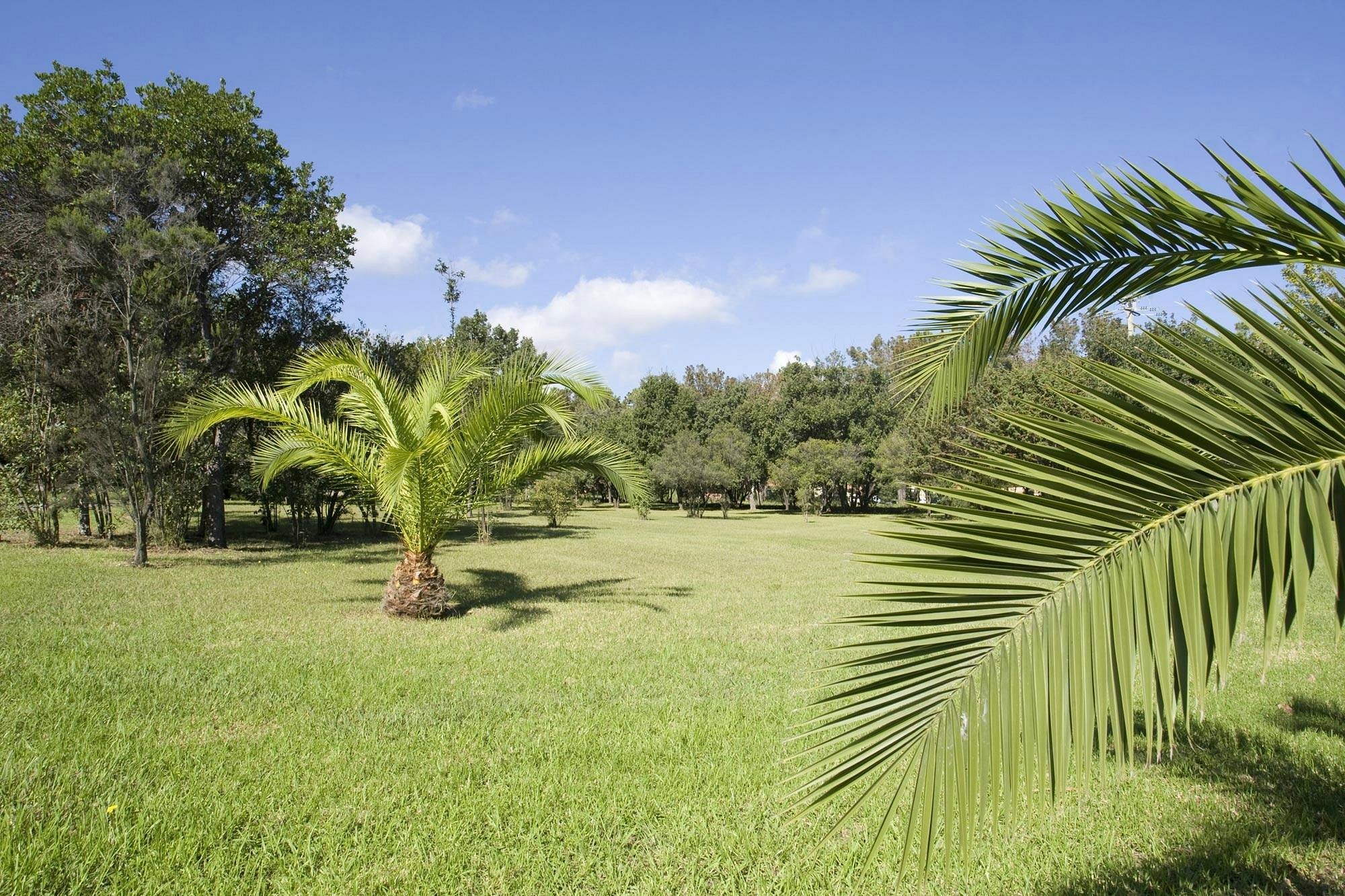 Scopa Marina, Location de Vacances à Poggio-Mezzana