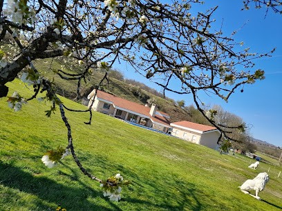 Chambre d'hôtes l'Ecrin de Verdure de Rives, Chambre d'Hôtes à Rives
