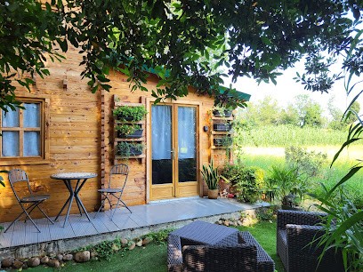 La Cabane Sous Les Arbres, Chambre d'Hôtes à Saint-Martin-de-Crau