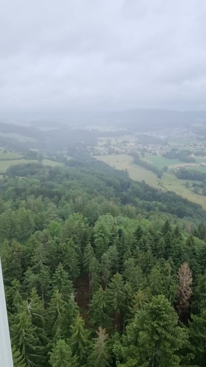 Cocoon Vosges : location de chalets dans les Vosges, Location de Vacances à Liézey