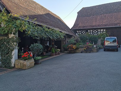 Klein Jean-Paul, Chambre d'Hôtes à Cleebourg