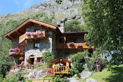 Les Abeillos, Location De Vacances à Bonneval-sur-Arc