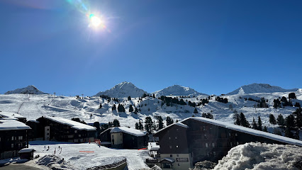 Lesdeuxmarmottes, Location De Vacances à la Plagne Tarentaise