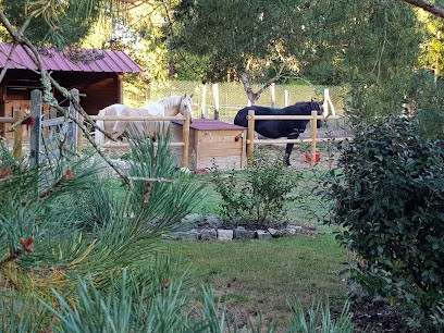 Gîte de Clairbois, Chambre d'Hôtes à Tigy
