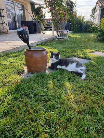 Domaine de la Bergerie, Chambre d'Hôtes à Périssac