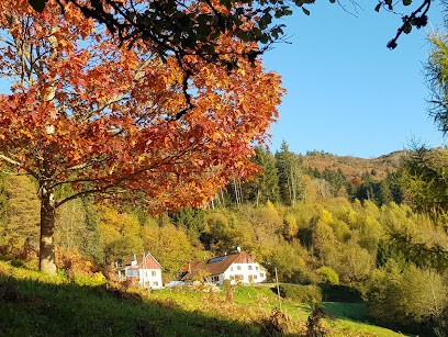 Le Haut Pré (Gîte), Location de Vacances à Rupt-sur-Moselle