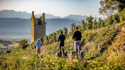 Chambres d’Hotes - Sylvie & Guy Quenard, Chambre d'Hôtes à Chignin