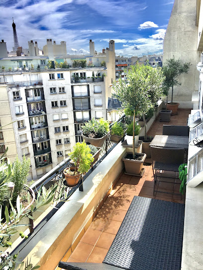 Appart Terrasse Vue Tour Eiffel, Location De Vacances à Paris 16