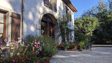 Les Mitreuches, Maison d'Hôtes à Dommartin-lès-Remiremont