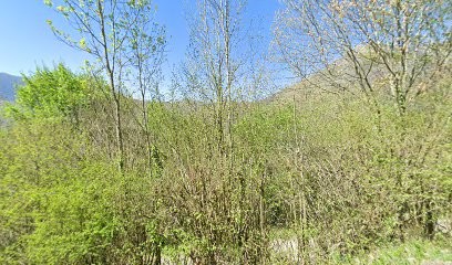 Som de còsta, Chambre d'Hôtes à Bedous