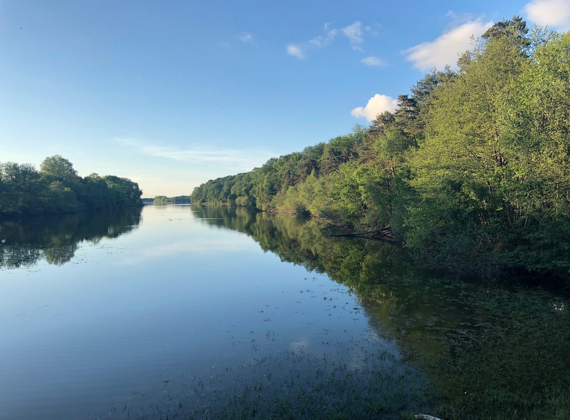 ChampduTaillis, Chambre d'Hôtes à Valigny