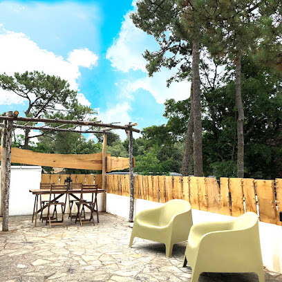 Sous Les Pins (Les Conches), Location De Vacances à Longeville-sur-Mer