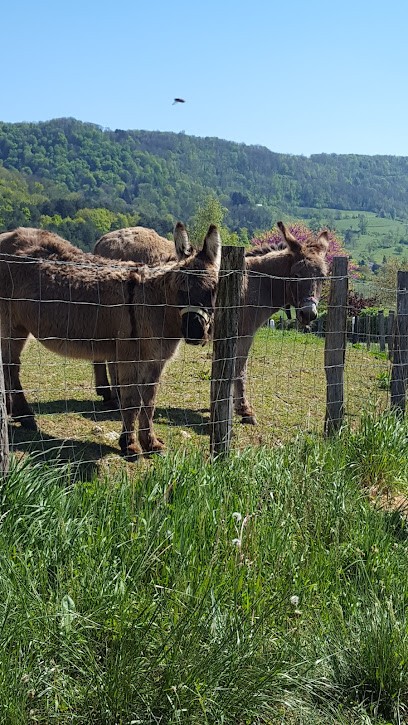 A l'orée du Revermont, Chambre d'Hôtes aux Trois Châteaux