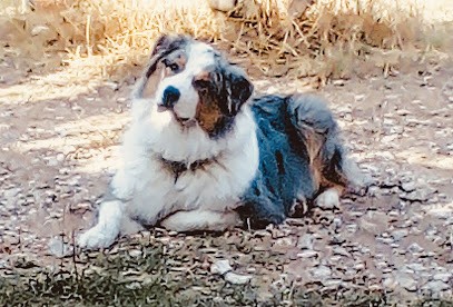 Mas l’authentique, Chambre d'Hôtes à Eygalières