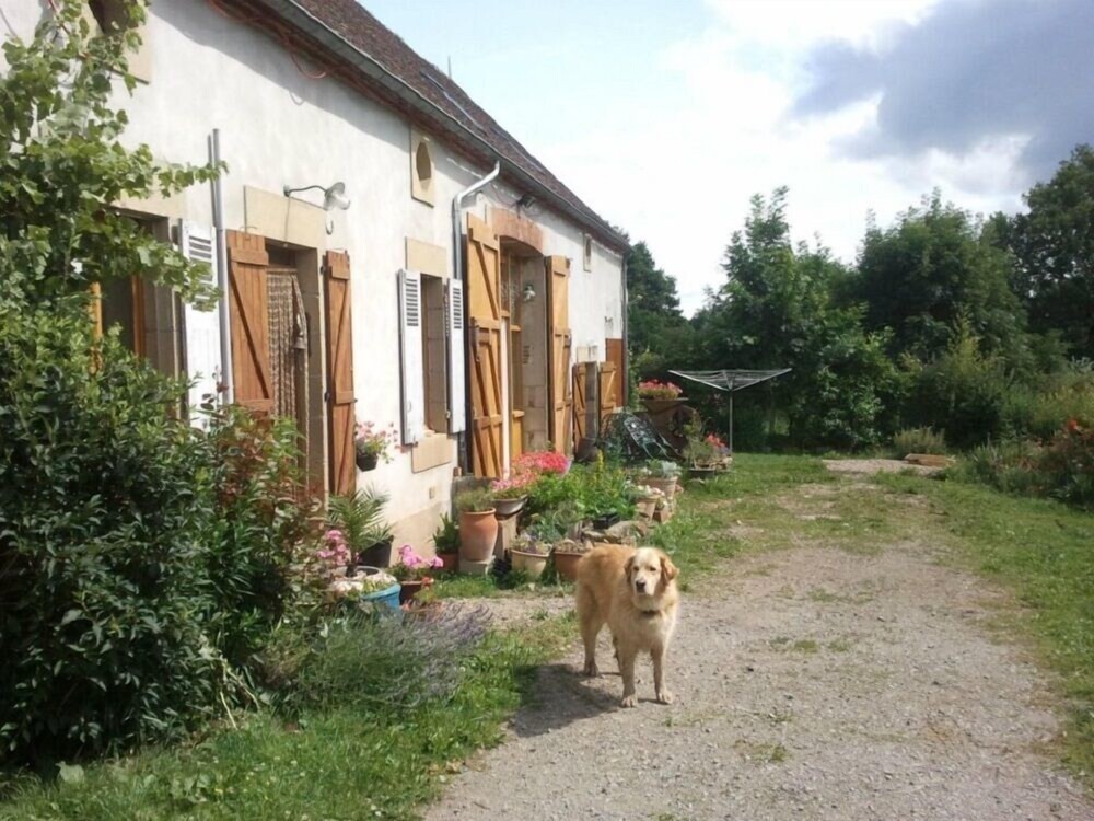 Le Champ Bouchon, Chambre d'Hôtes à Treban