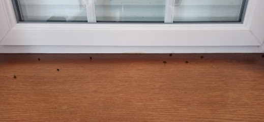 Label Gîtes de France de la Manche, Location de Vacances à Saint-Lô