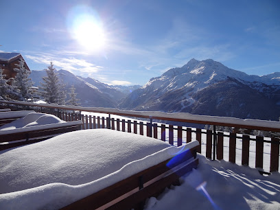 La Terrasse Des Gentianes Location De Vacances à Montvalezan