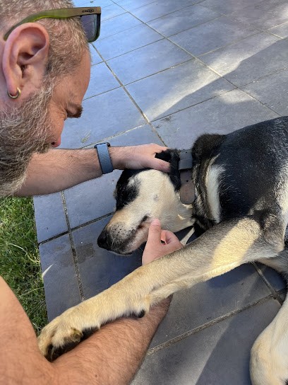 Au Clos Des Secrets, Chambre d'Hôtes à Peyrusse-Grande