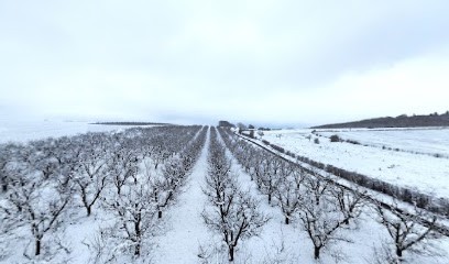 André Evelyne, Chambre d'Hôtes à Saint-Mard