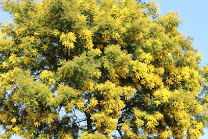 Maison Mimosas, Location de Vacances à Plestan