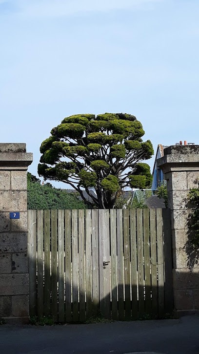 Locmariaquer, Chambre d'Hôtes à Locmariaquer