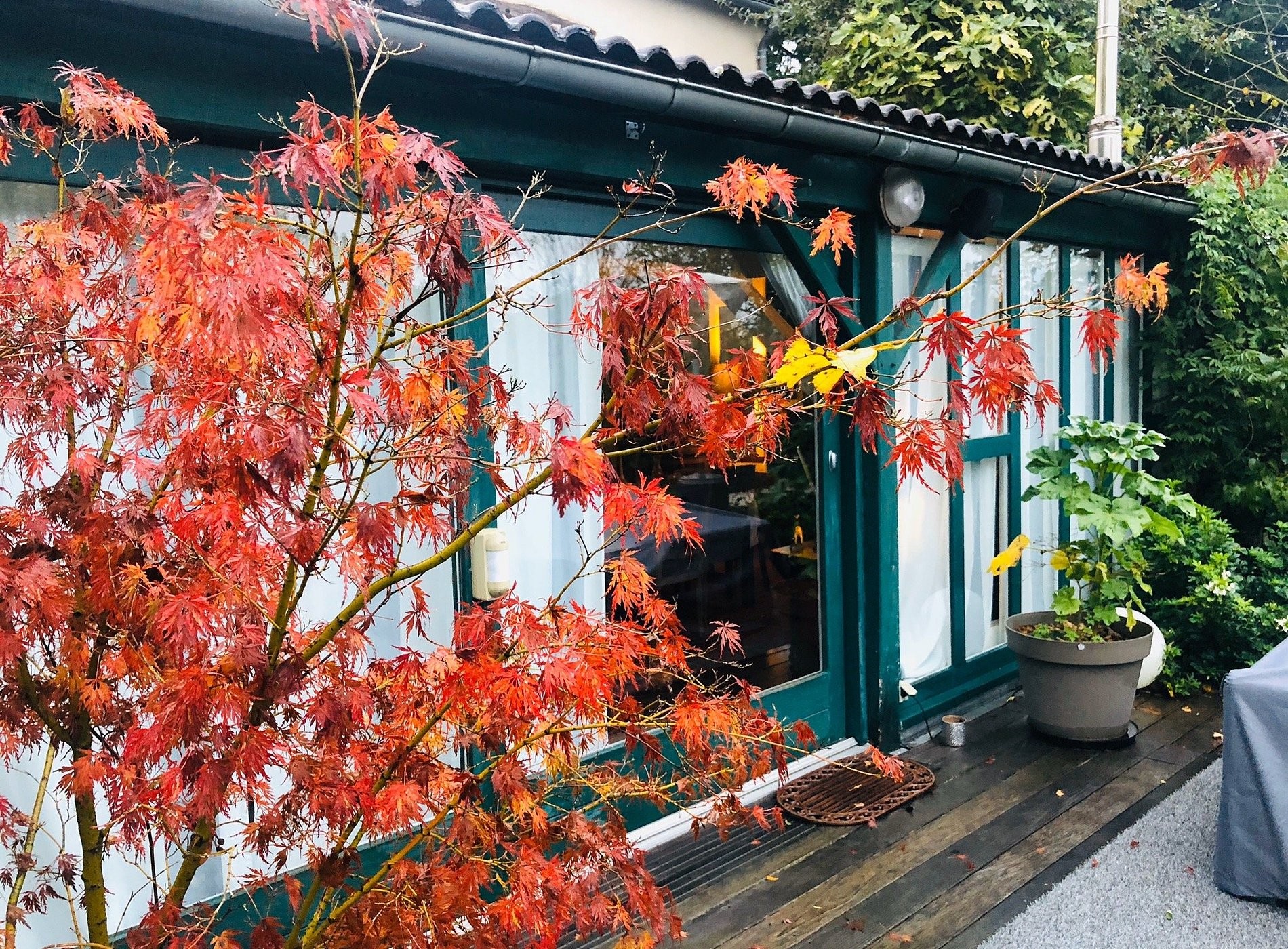 Relais de Chasse la Chaignaie, Chambre d'Hôtes à La Boissière-de-Montaigu