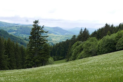 MTB Vosges Alsace Ride, Chambre d'Hôtes à Plainfaing