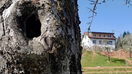 Cœurvert, Location de Vacances à Ronchamp