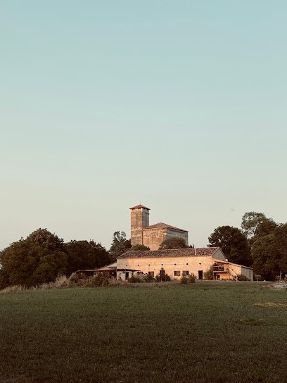 Drôles D'oiseaux, Chambre d'Hôtes à Plieux