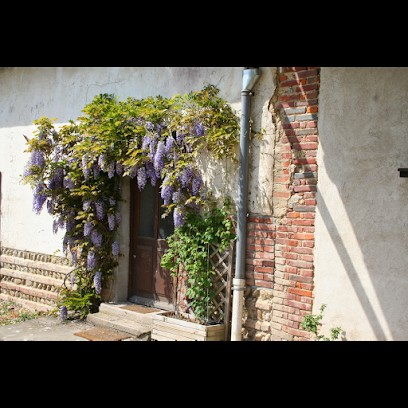 Chambres d'hôtes, Le vieux saule Chatillon sur Chalaronne, Chambre d'Hôtes à Châtillon-sur-Chalaronne