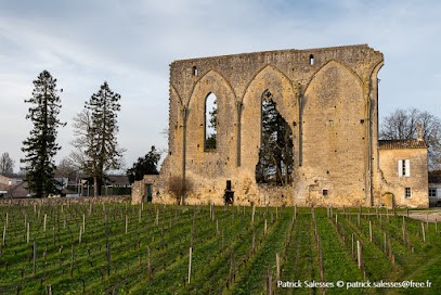 La Maison Colline, Chambre d'Hôtes à Saint-Émilion