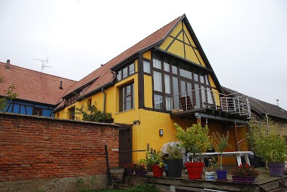 Chambres d'hôtes - Maison bleue 67, Chambre d'Hôtes à Kurtzenhouse