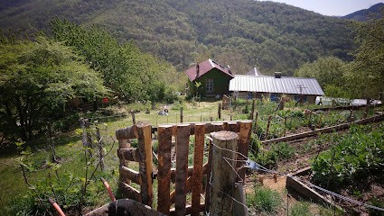 Ferme du Bosc, Chambre d'Hôtes à Viala-du-Tarn