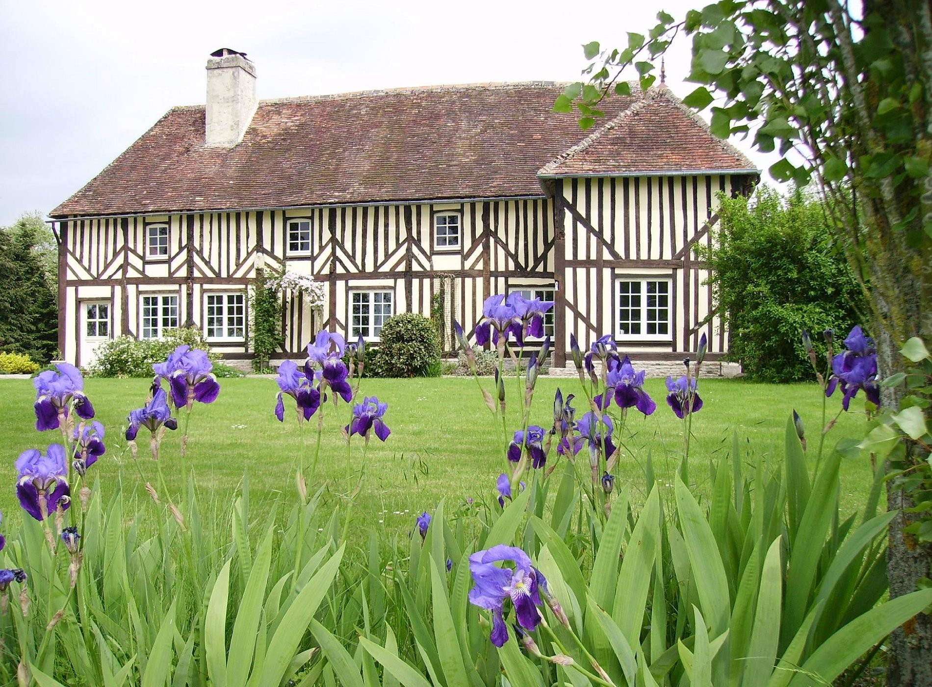 Au Pressoir Pas Pressé..., Chambre d'Hôtes à Saint-Ouen-du-Mesnil-Oger