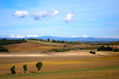 Domaine De La Bade, Location de Vacances à Raissac-sur-Lampy