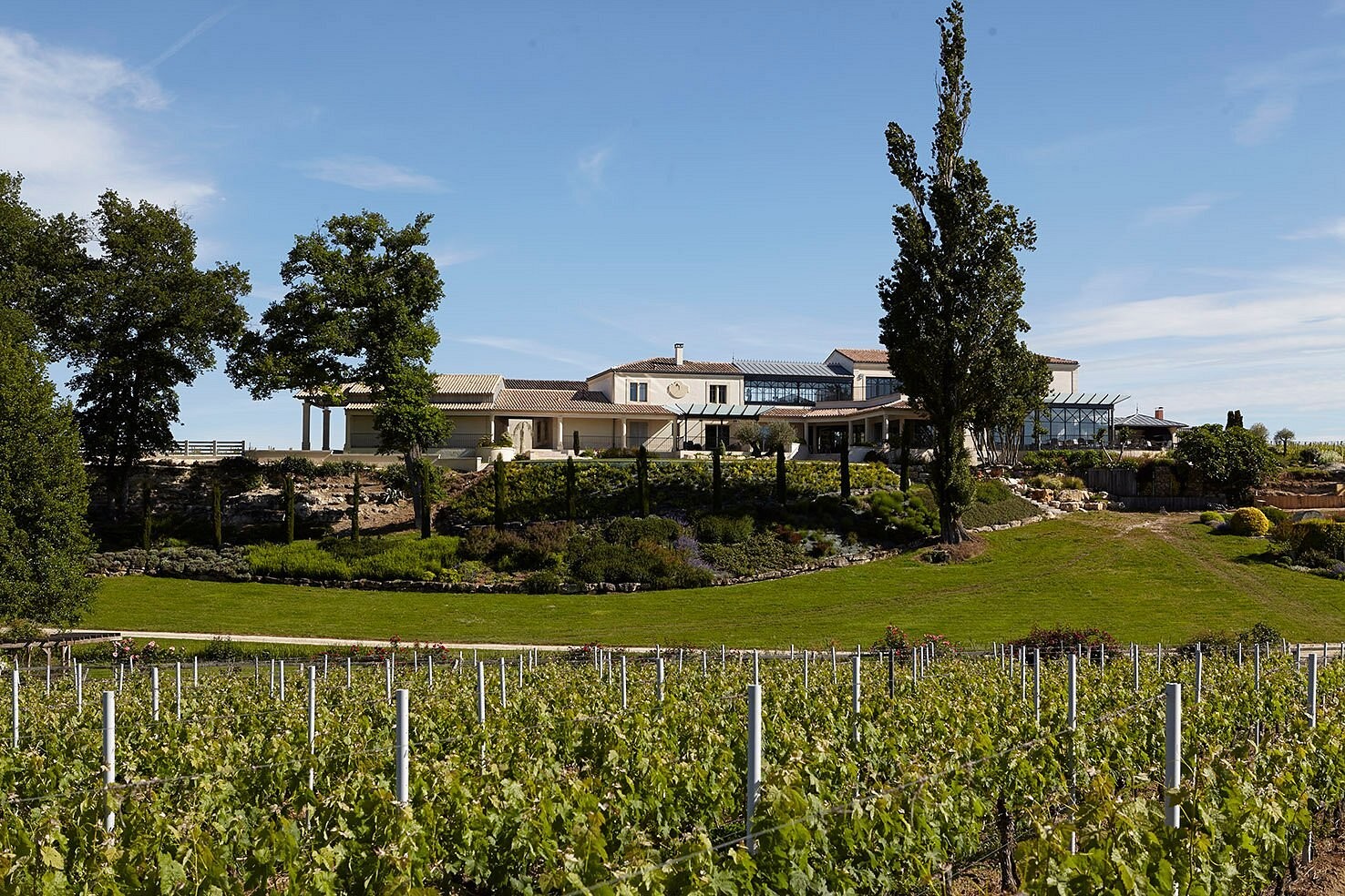Château La Rose Perrière, Chambre d'Hôtes à Lussac