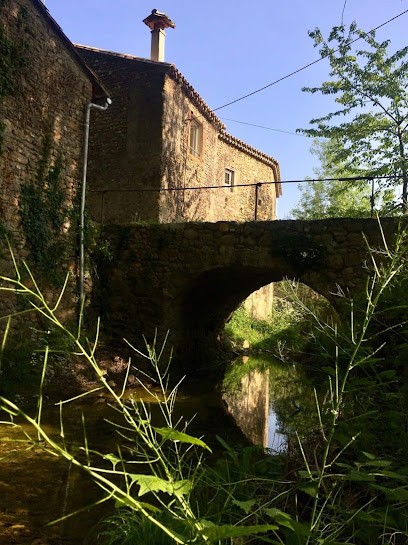 Le Moulin Du Rubeguet, Chambre d'Hôtes à Saint-Julien-de-Cassagnas