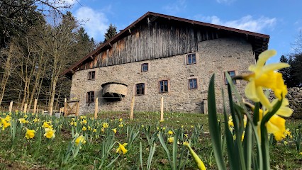 Gites à la ferme à 5 minutes du lac de Gerardmer., Chambre d'Hôtes à Sapois