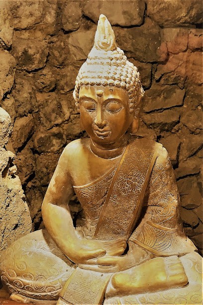 Au Vingtain - Appartement & Spa atypique, Chambre d'Hôtes à Brindas