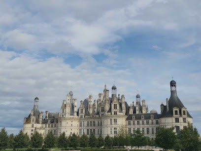 Gite Emmea Proche Zoo De Beauval, Location de Vacances à Saint-Aignan