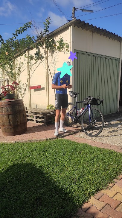La Bohème chambre chez l'habitant, Maison d'Hôtes à Bourbonne-les-Bains