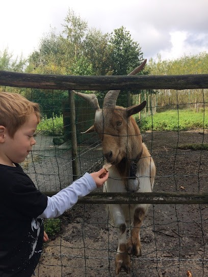 Gites Le Portail Bleu, Location de Vacances à Teillay