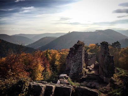 Gîtes Heidelbeere en Alsace des Vosges du Nord, Location de Vacances à Dambach