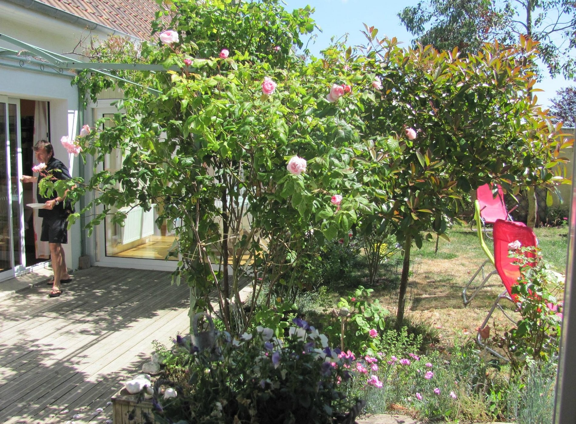 Wissant L'Opale, Chambre d'Hôtes à Wissant