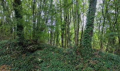 Chambre d'hotes Le Fourniou, Chambre d'Hôtes à Melle